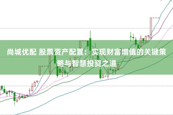 尚城优配 股票资产配置：实现财富增值的关键策略与智慧投资之道