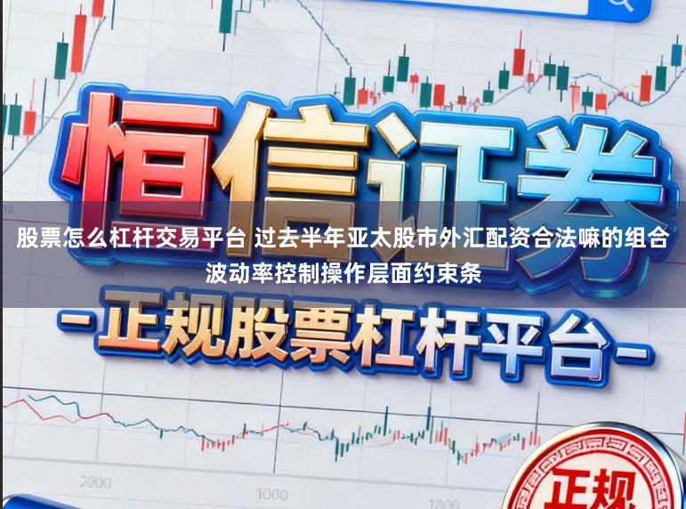 股票怎么杠杆交易平台 过去半年亚太股市外汇配资合法嘛的组合波动率控制操作层面约束条