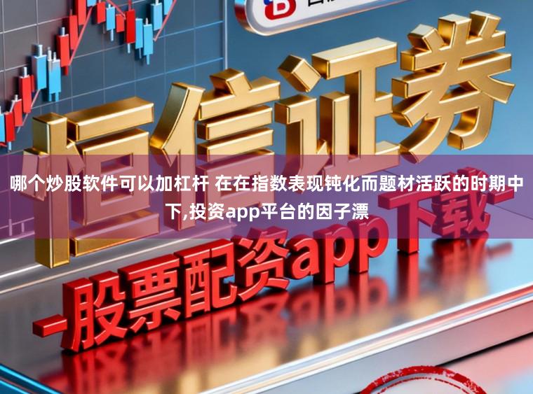 哪个炒股软件可以加杠杆 在在指数表现钝化而题材活跃的时期中下,投资app平台的因子漂